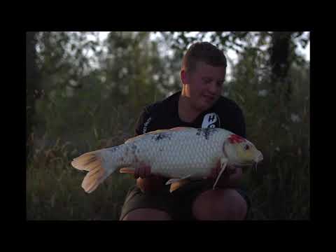The Road Trip - Holland Baits at The Golden Carp lake, Etang de la Carpe d'Or