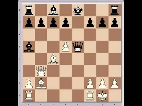 Bobby Fischer Vs. Reuben Fine, 1963