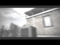 Mango Cool Edit