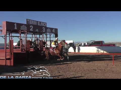 EL FRENITO VS EL TALIBAN 275 VARAS CARRIL TIERRA BLANCA GALEANA CHIHUAHUA 8 DE DICIEMBRE DEL 2016