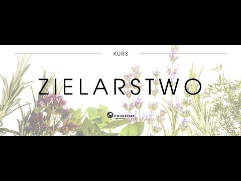 Środki do układania włosów sierści rzadkiej Jak zrobić maskę z oleju kokosowego na włosy