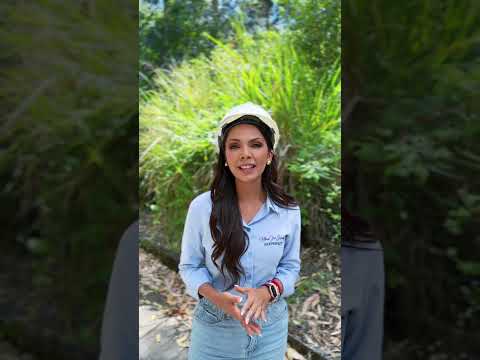 Realizamos el recorrido por las vías del cantón Calvas, en el tramo Cariamanga, El Lucero, Río Pindo