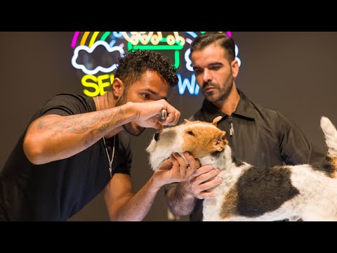 YouTube thumbnail 1