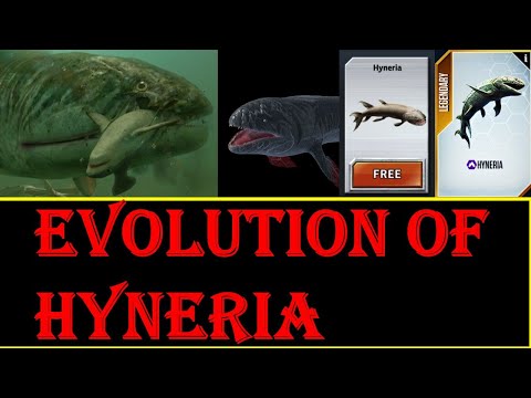 evolution of hyneria