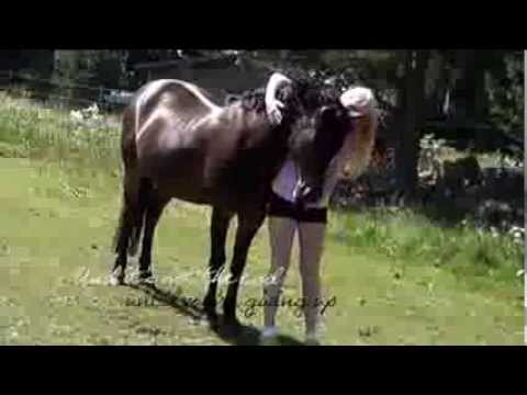 If I fail - I try again