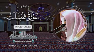 ﴿ ذلك جزاء أعداء الله النار ﴾ | صلاة العشاء للشيخ ناصر القطامي من سورة فصلت - الخميس 20-1-1436هـ