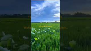 Download lagu Ya Sayyidi Ya Rasulullah Artinya:'Wahai tuanku, wahai Rasulullah... #music #storywa mp3