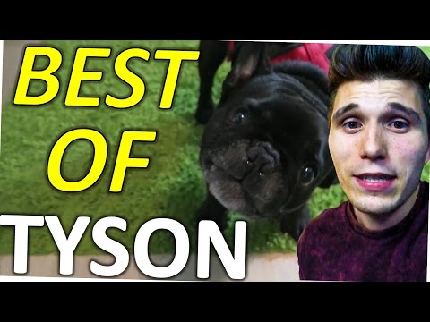 Best of TYSON (ft. Paluten & Peterle)