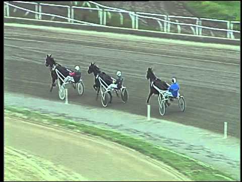 Trotto 29/10/2015 - 1° prova di qualifica