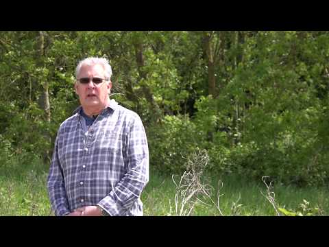 FRANCE SEEN CLEARLY AND CLOSE FROM THE UK.