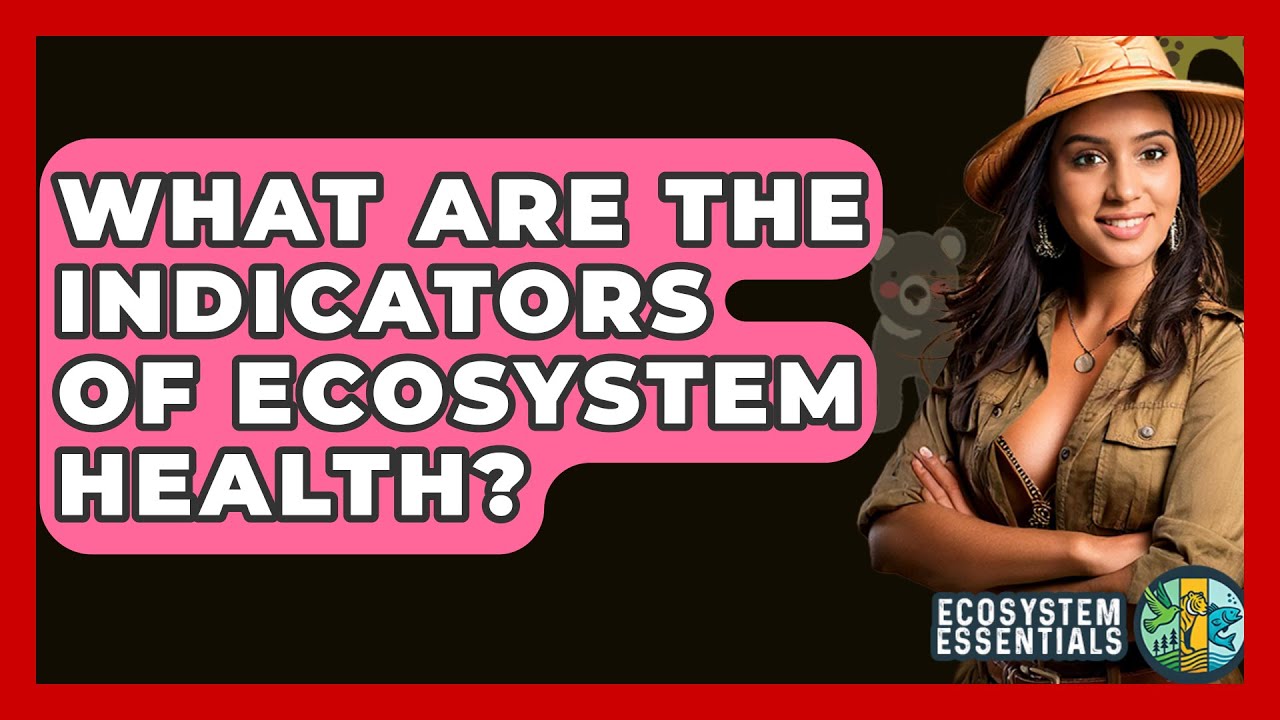 What Are the Indicators of Ecosystem Health? - Ecosystem Essentials