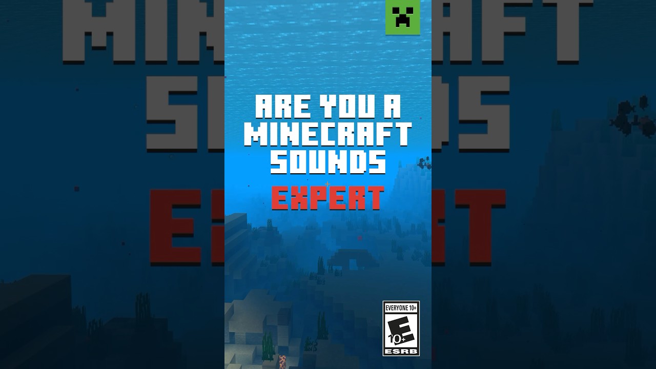 MINECRAFT SOUND QUIZ