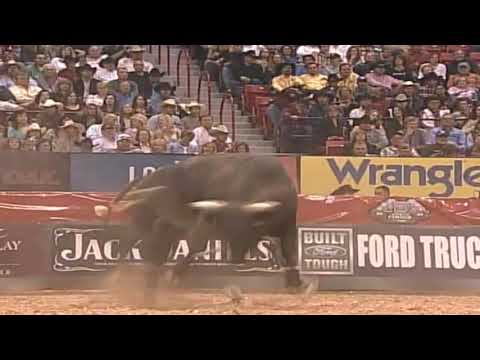Stray Kitty (Bucking Bull) - 05 PBR Finals