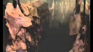 Goodfellas - Down for the Count