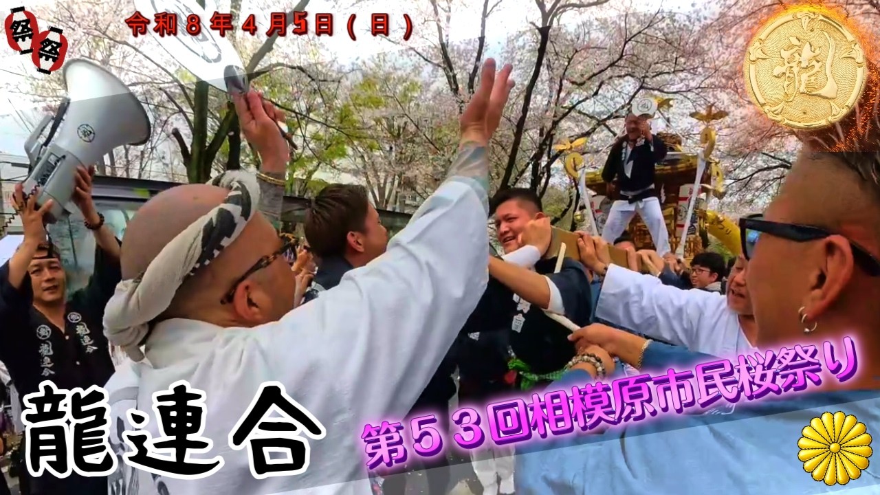令和８年　相模原市民桜まつり 神輿パレード ★龍連合★担ぎの流儀がぶつかる｜江戸前とドッコイ、相模原で交差する力★ド迫力 ＃祭り#甚句＃日本祭典 ＃ドッコイ担ぎ　video9 。
