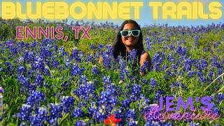 BLUEBONNET Trails in Ennis, Texas! [WILDFLOWERS in TEXAS] [STATE FLOWER of TEXAS]