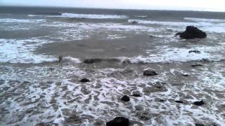 preview picture of video 'Miwok Beach off Bodega Bay Highway'
