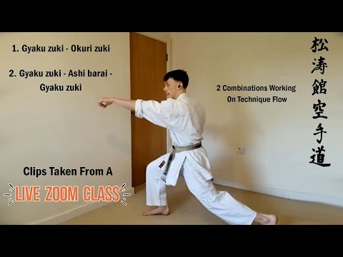 30 Minute Shotokan Karate Follow Along Class Technique Flow
