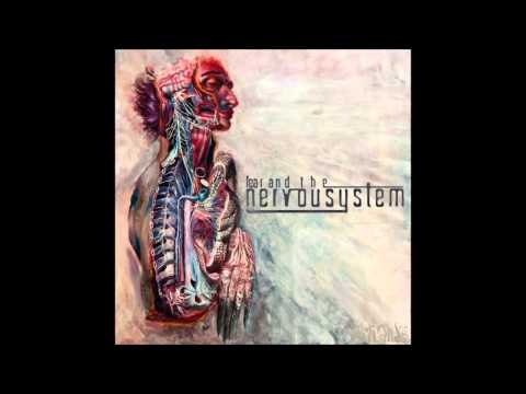 Fear and The Nervous System - No Secret