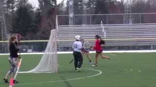 preview picture of video '2015 Emmaus Girls Lacrosse Preview'