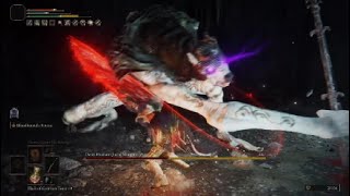 Elden Ring - Demi-Human Queen Margot mk.II Boss fight