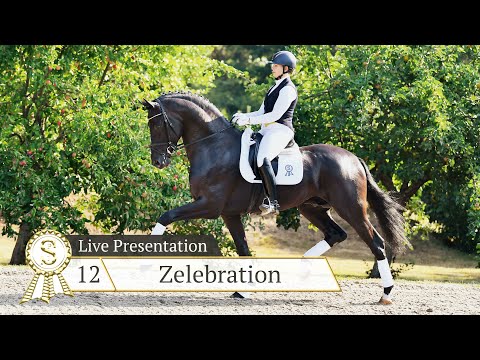 Kat. Nr. 12 Zelebration  - Live Präsentation