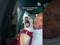 Un chien dramatique demande comment s'est déroulée la garde d'enfants