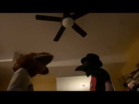 WHY DID YOU RELEASE THE ROACHES