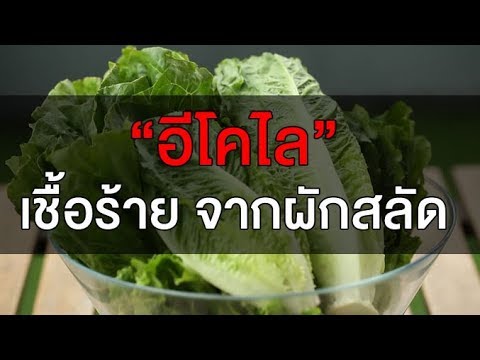 นวดแรง ความอ่อนแอกรดโฟลิค