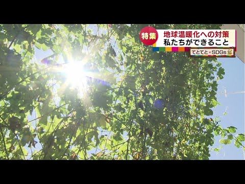 2024 年までに地球温暖化の閾値を超える: これが気候変動で私たちを脅かすものです