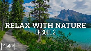Nature Wonders 4K + Ambient Music to Create Calming Atmosphere & Unwind | Relax with Nature - #2