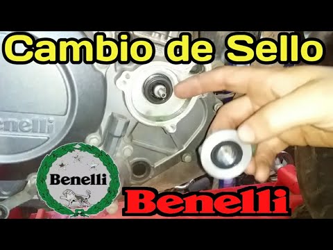 HOW TO REPLACE BENELLI TNT 25 water pump mechanical seal retainer step by step