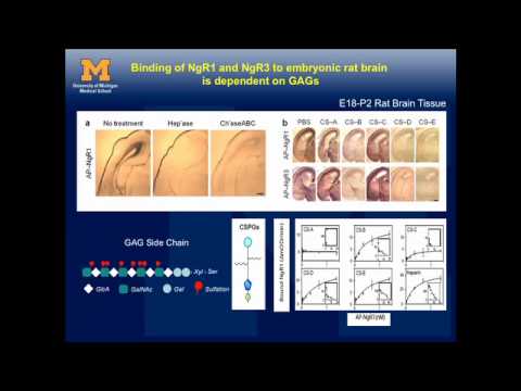 Neural Prosthesis Seminar