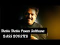 Thottu Thottu Pesum Sulthana BASS BOOSTED Ethirum Puthirum Mammooty Vidyasagar
