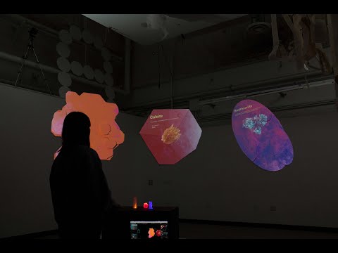 Gem and Mineral Hall at NHM