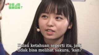 Keyakizaka46 SHOW! - Yuichanzu Skit (Subtitle Indonesia)