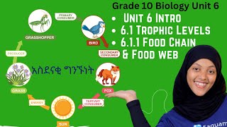Grade 10 Biology Unit 6:  6 .1 Trophic Levels;6.1.1 Food Chain and Food web | Saquama