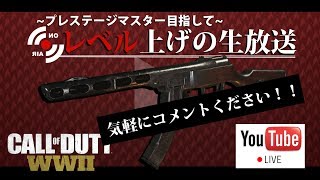 【WW2配信】プレステージマスター目指してランクドミ！！現在プレ９！！#1