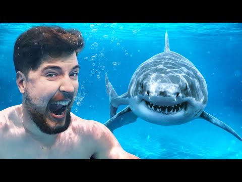 Would You Swim With Sharks For $100,000