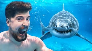 Download lagu Would You Swim With Sharks For 100 000... mp3