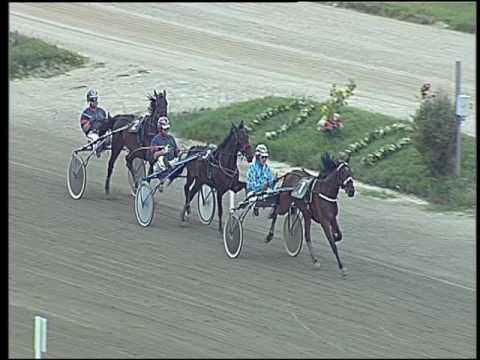 Trotto 16/06/2016 - 2° prova di qualifica