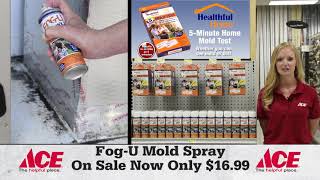 Healthful Homes 2018 Orange