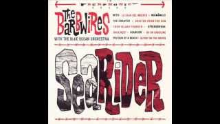 The Barbwires with The Blue Ocean Orchestra - Blood On The Waves
