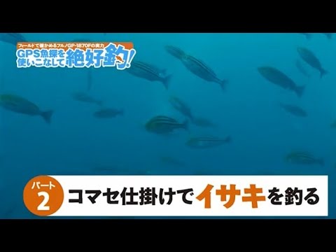 コマセ仕掛けでイサキを釣る