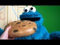 Cookie Monster Meet And Greet At Sesame Street In SeaWorld Orlando Plus Parade Appearance