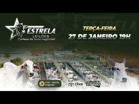 ESTRELA LEILÕES -  27  / 01 / 2026 -  19:00 HS. - Morrinhos  - Goiás