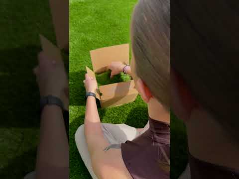 Még nem tapintottál Prémium Pázsitot?