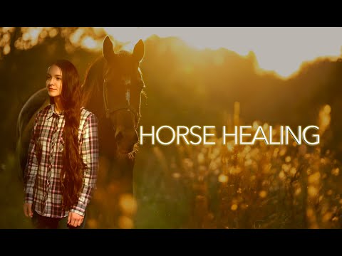 " Horse Healing " Official Trailer Screener