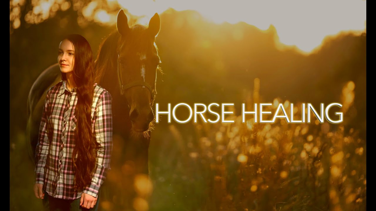 " Horse Healing " Official Trailer Screener