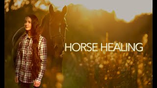 " Horse Healing " Official Trailer Screener